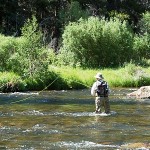 Taylor River Flyfishing Gunnison