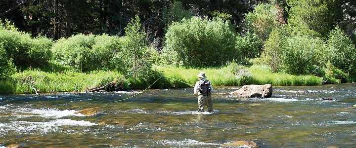 Taylor River Flyfishing Gunnison