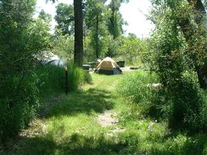 Camping Yampa River Camping Yampa River