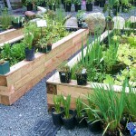 gardening