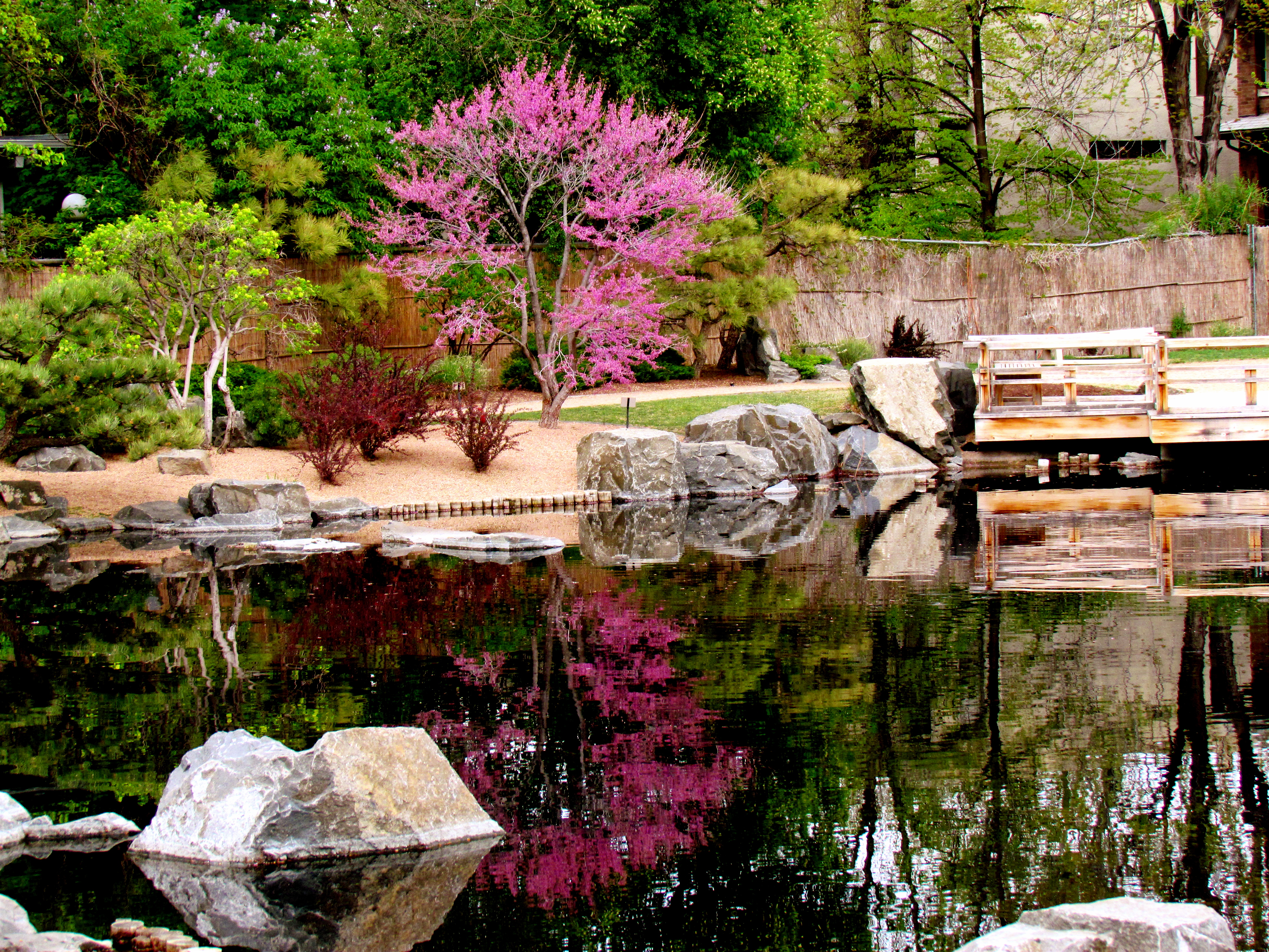 Denver Botanic Gardens: Year-Round Oasis