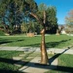 GardenPanorama 2013