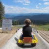 Explore Breckenridge in Summer for Even More Outdoor Fun