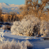 Aurora Activities: From Active to Artistic