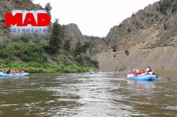 White Water Rafting Colorado - Colorado Rafting Trips