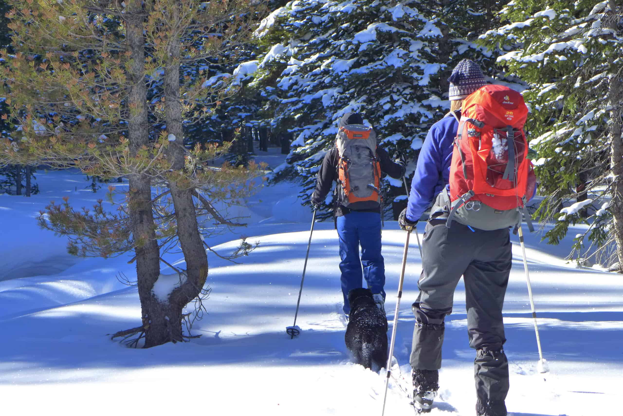 Winter Wonderland: Snowshoeing the Powder Along the Poudre