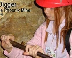 Gold Digger: Inside the Phoenix Gold Mine 9