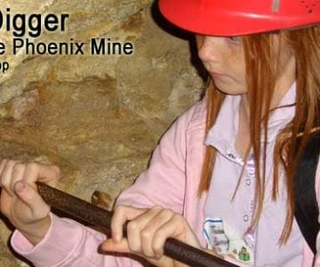 Gold Digger: Inside the Phoenix Gold Mine 12