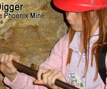 Gold Digger: Inside the Phoenix Gold Mine 2 Gold Digger: Inside the Phoenix Gold Mine 12