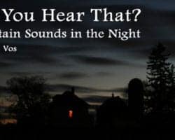 Did You Hear That? Mountain Sounds in the Night 7
