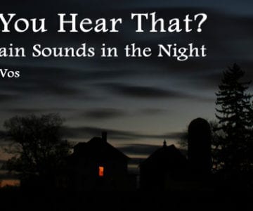 Did You Hear That? Mountain Sounds in the Night 9