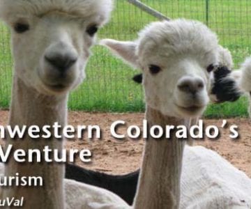 Southwestern Colorado’s New Venture: Agri-Tourism 2 Southwestern Colorado’s New Venture: Agri-Tourism 5