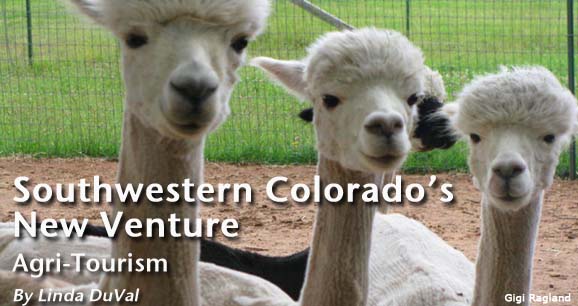 Southwestern Colorado’s New Venture: Agri-Tourism