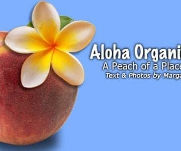Aloha Organic Fruit: A Peach of a Place 2 Aloha Organic Fruit: A Peach of a Place 15