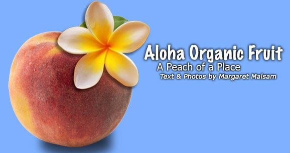 Aloha Organic Fruit: A Peach of a Place