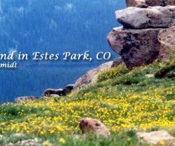 A Weekend in Estes Park: Not Sheepish on Scenery 1
