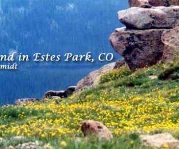 A Weekend in Estes Park: Not Sheepish on Scenery 1 A Weekend in Estes Park: Not Sheepish on Scenery 1
