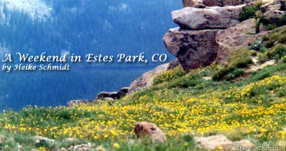 A Weekend in Estes Park: Not Sheepish on Scenery