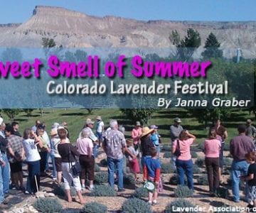 The Sweet Smell of Summer: Colorado Lavender Festival 1 The Sweet Smell of Summer: Colorado Lavender Festival 6