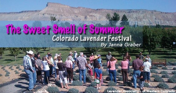 The Sweet Smell of Summer: Colorado Lavender Festival