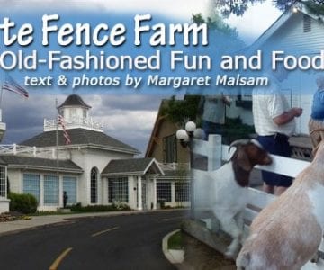 White Fence Farm: Old-Fashioned Fun and Food 4 White Fence Farm: Old-Fashioned Fun and Food 6
