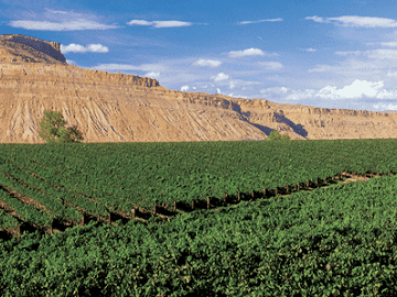 Try Fine Dining In Colorado's Wine Country 6 Try Fine Dining In Colorado's Wine Country 12