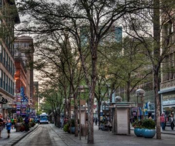 7 Free Things To Do In Denver Before You Die 2