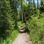 Sawmill Trail Breckenridge 26