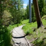 Sawmill Trail Breckenridge 27