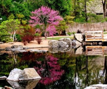 Denver Botanic Gardens: Year-Round Oasis 5