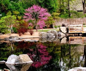 Denver Botanic Gardens: Year-Round Oasis 6 Denver Botanic Gardens: Year-Round Oasis 6