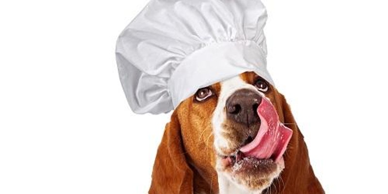 Englewood Unleashed Chili Cook Off & Craft Fair