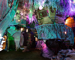 the house of eternal return at denver meow wolf